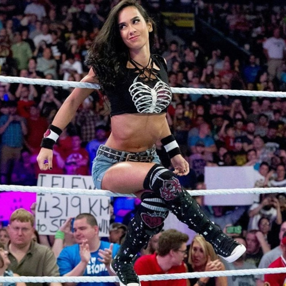 Looking for wwe aj lee merch